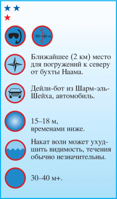 Дайвинг. Красное море i_063.png
