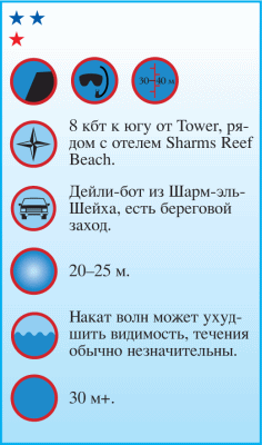 Дайвинг. Красное море i_067.png