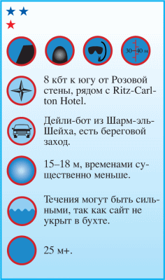 Дайвинг. Красное море i_069.png