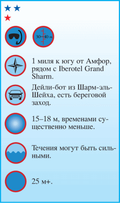 Дайвинг. Красное море i_071.png