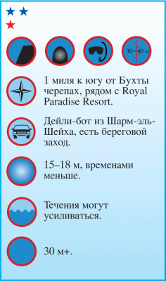 Дайвинг. Красное море i_073.png