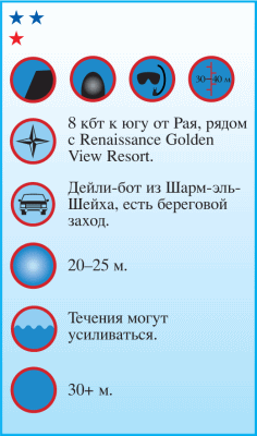 Дайвинг. Красное море i_075.png