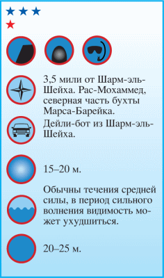Дайвинг. Красное море i_077.png