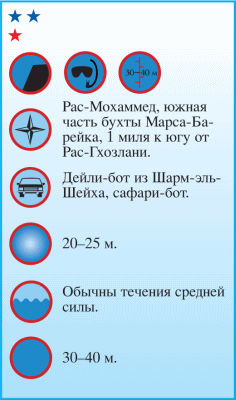 Дайвинг. Красное море i_079.png