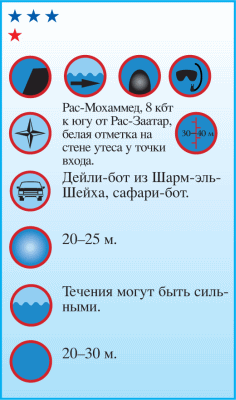 Дайвинг. Красное море i_081.png