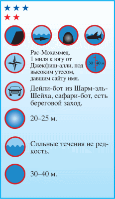 Дайвинг. Красное море i_083.png