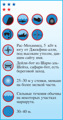 Дайвинг. Красное море i_084.png