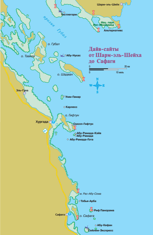Дайвинг. Красное море i_087.png