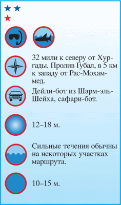 Дайвинг. Красное море i_088.png