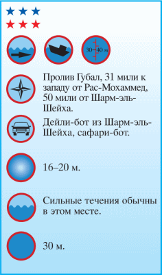 Дайвинг. Красное море i_090.png