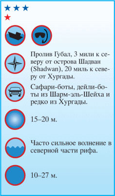 Дайвинг. Красное море i_093.png