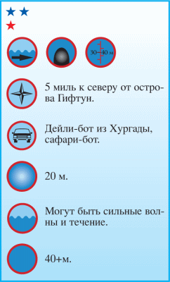 Дайвинг. Красное море i_095.png