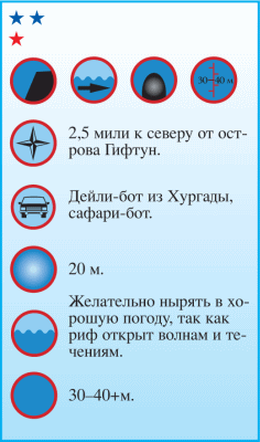 Дайвинг. Красное море i_097.png