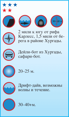 Дайвинг. Красное море i_099.png