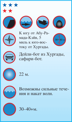 Дайвинг. Красное море i_102.png