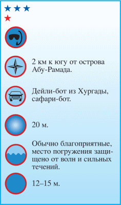 Дайвинг. Красное море i_106.png