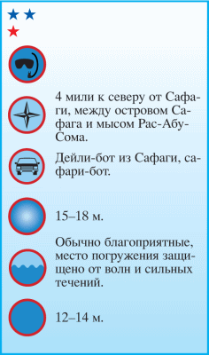 Дайвинг. Красное море i_108.png