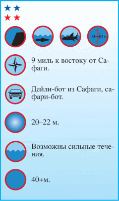 Дайвинг. Красное море i_109.png