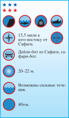 Дайвинг. Красное море i_111.png