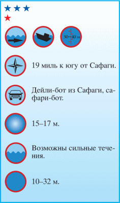Дайвинг. Красное море i_113.png