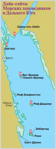 Дайвинг. Красное море i_115.png
