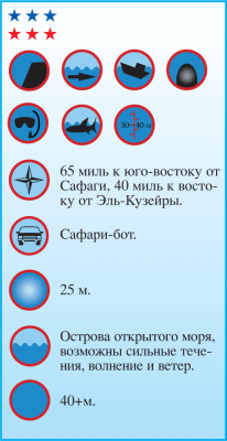 Дайвинг. Красное море i_116.png