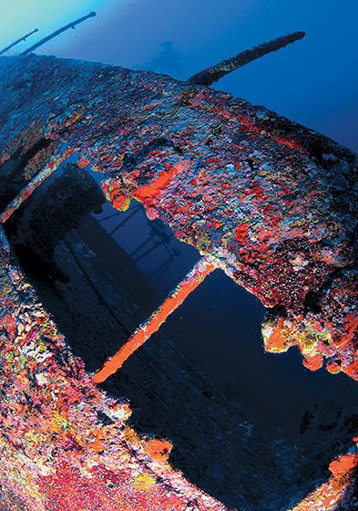 Дайвинг. Красное море i_118.jpg