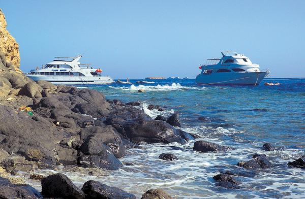 Дайвинг. Красное море i_119.jpg