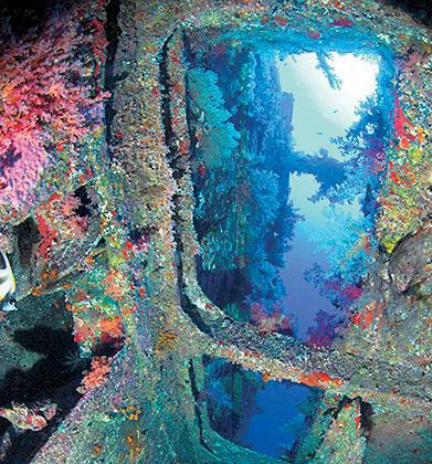 Дайвинг. Красное море i_120.jpg