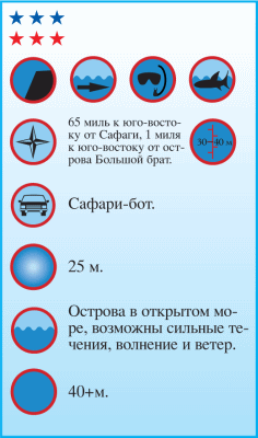 Дайвинг. Красное море i_122.png