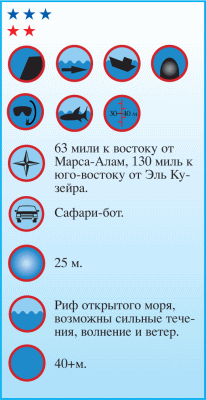 Дайвинг. Красное море i_127.png