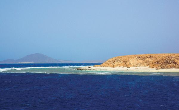 Дайвинг. Красное море i_129.jpg