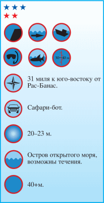 Дайвинг. Красное море i_130.png