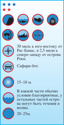 Дайвинг. Красное море i_131.png