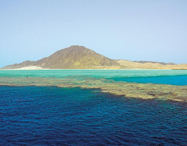 Дайвинг. Красное море i_132.jpg