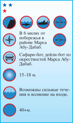 Дайвинг. Красное море i_134.png