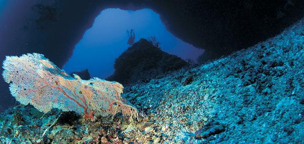 Дайвинг. Красное море i_136.jpg