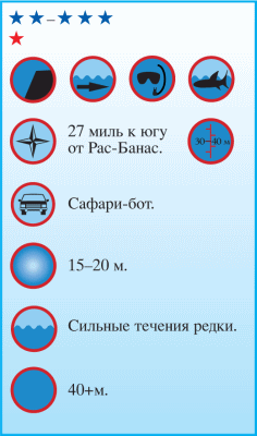 Дайвинг. Красное море i_139.png
