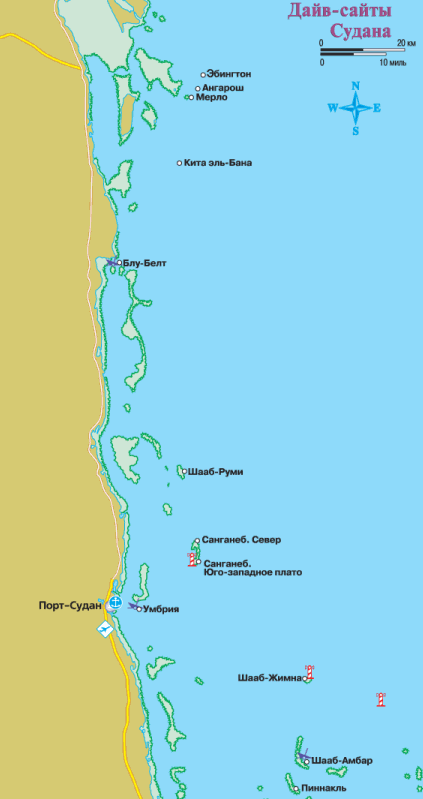 Дайвинг. Красное море i_154.png