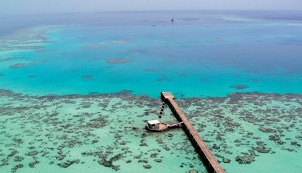 Дайвинг. Красное море i_157.jpg