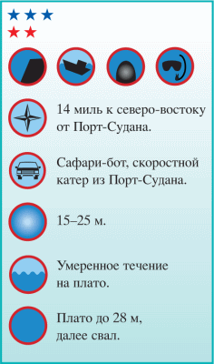 Дайвинг. Красное море i_158.png