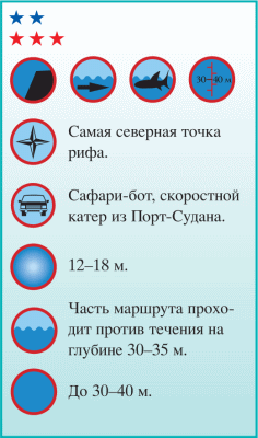 Дайвинг. Красное море i_162.png