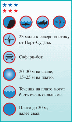 Дайвинг. Красное море i_165.png