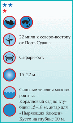 Дайвинг. Красное море i_171.png