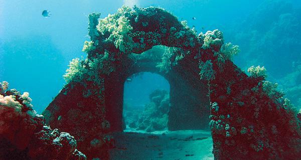Дайвинг. Красное море i_174.jpg
