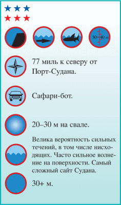 Дайвинг. Красное море i_175.png
