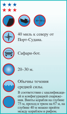 Дайвинг. Красное море i_186.png