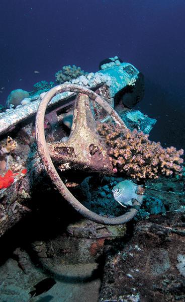 Дайвинг. Красное море i_188.jpg