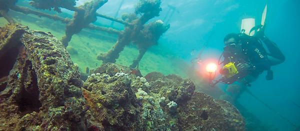 Дайвинг. Красное море i_191.jpg