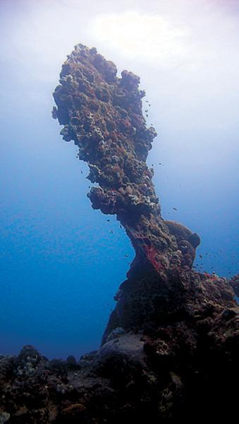 Дайвинг. Красное море i_192.jpg
